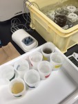 課題の解決方法を提案します★活性炭に替わる脱色用樹脂のご紹介