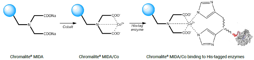 Fig-1 Chromalite MIDA