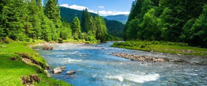 課題の解決方法を提案します★イオン交換樹脂Purofine™ PFA694Eは、水道施設のPFAS除去材に適用できます