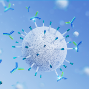 praesto