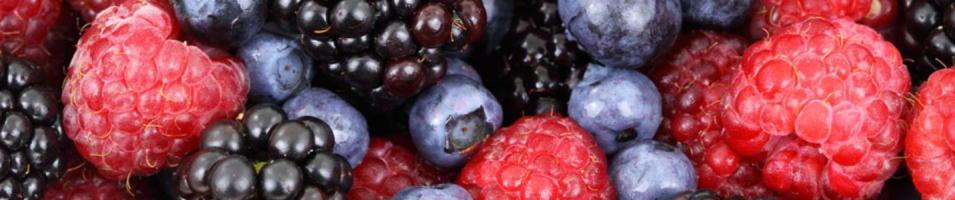 banner_berries_955x200